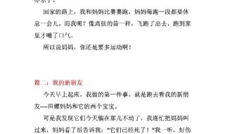 快乐的春节日记一百字 每天一篇日记100字
